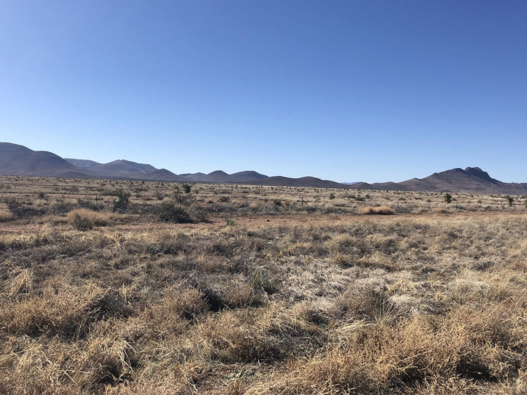 Border Wall Deception