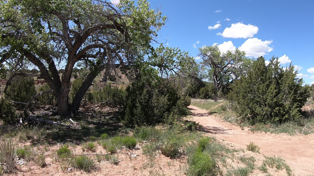 Galesteo Basin Preserve Cottonwood Trailhead