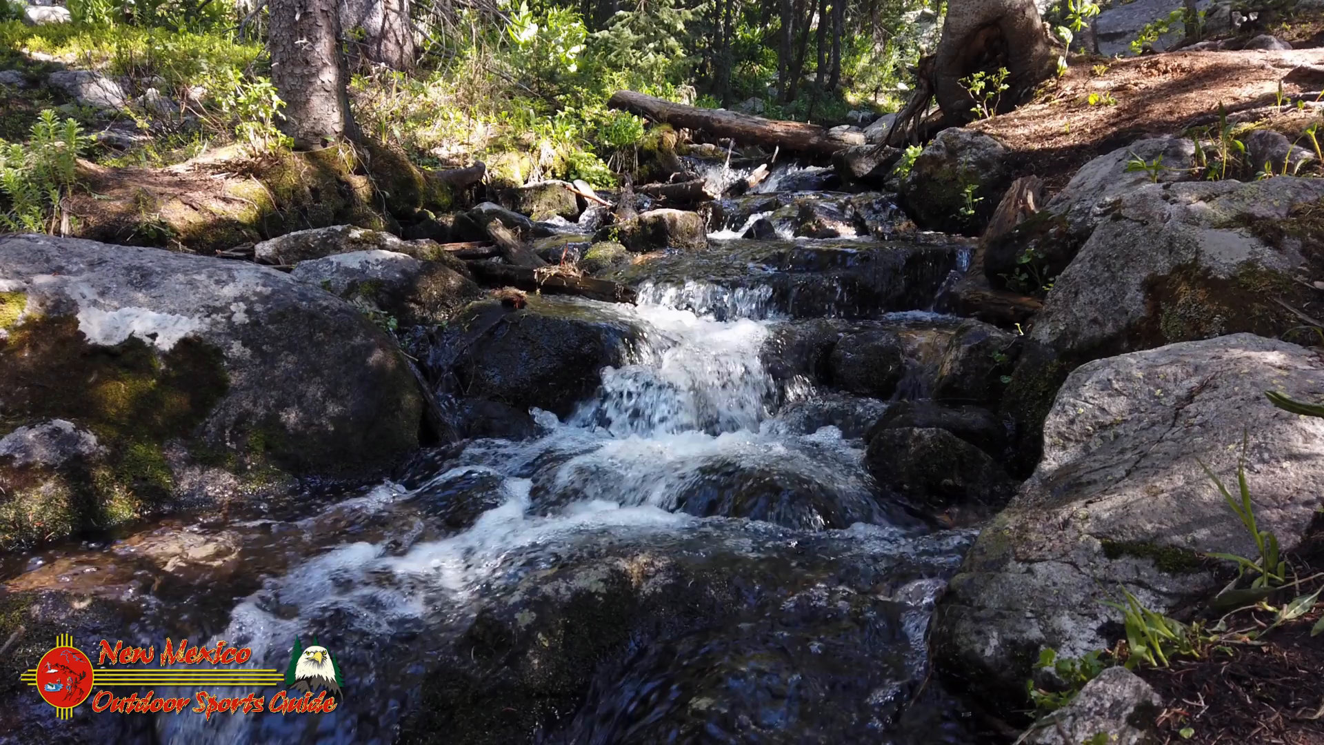 Windsor Trail 254 - Ski Santa Fe to Rio Nambe