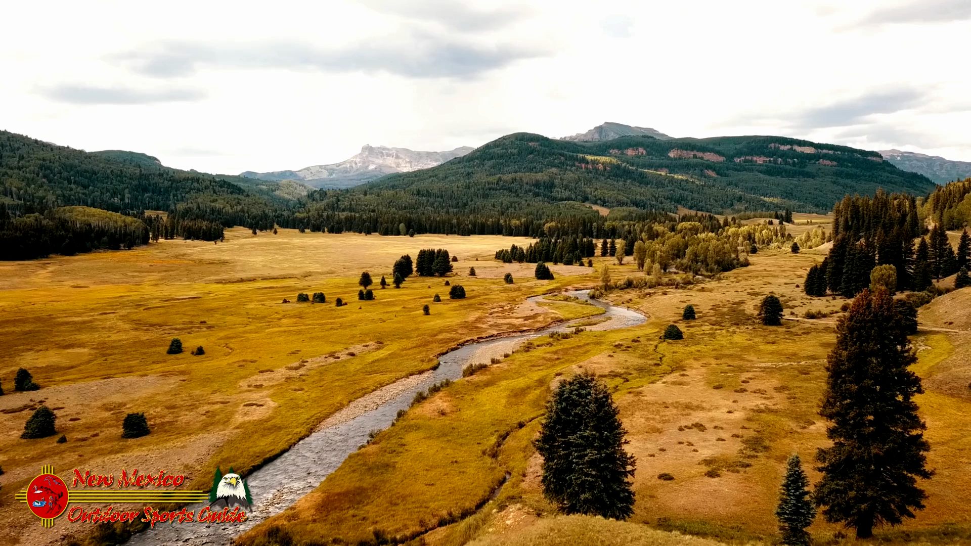 Rancho del Oso Pardo