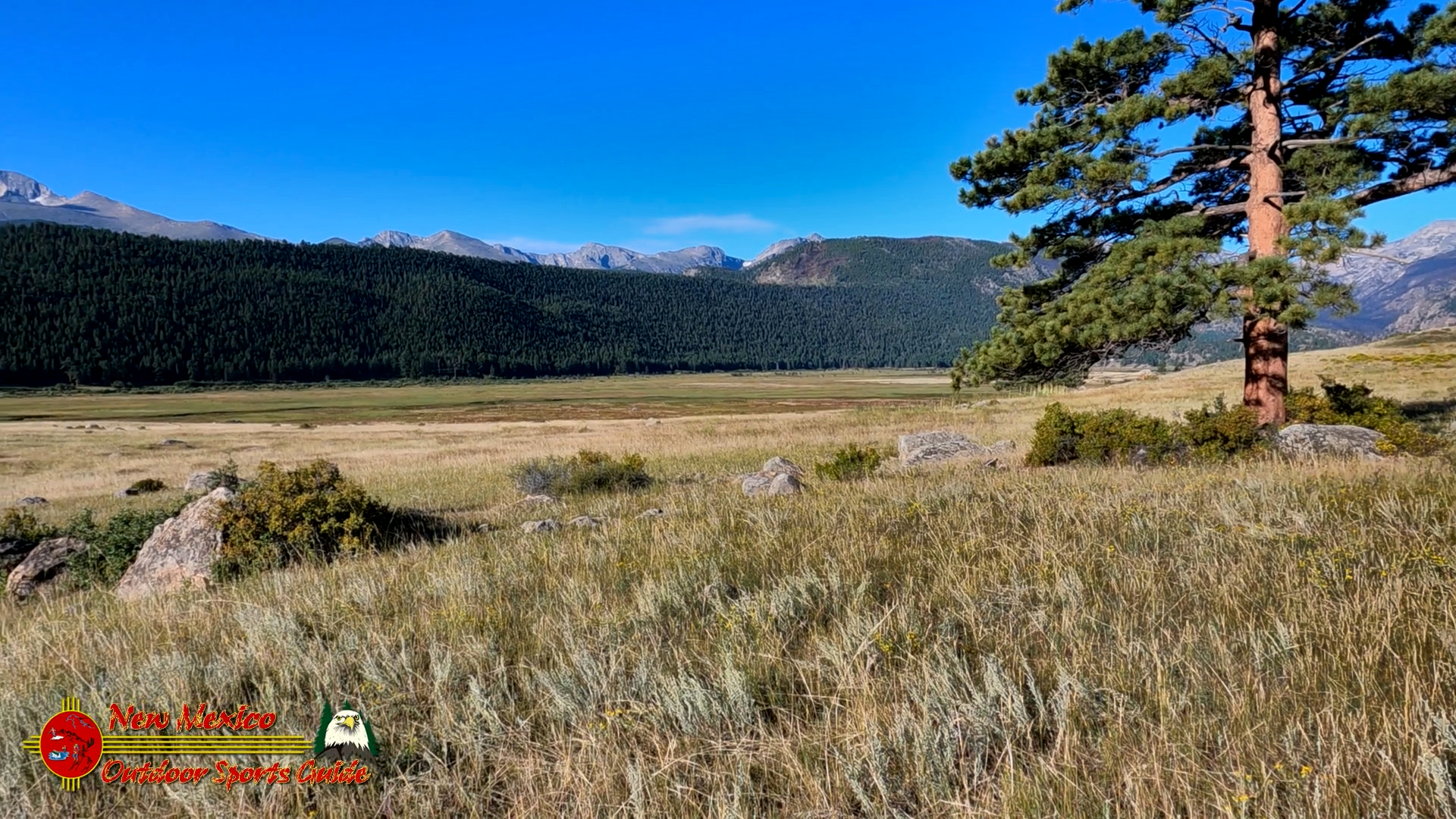 Moraine Park - Rocky Mountain National Park August 2021 Hero 9