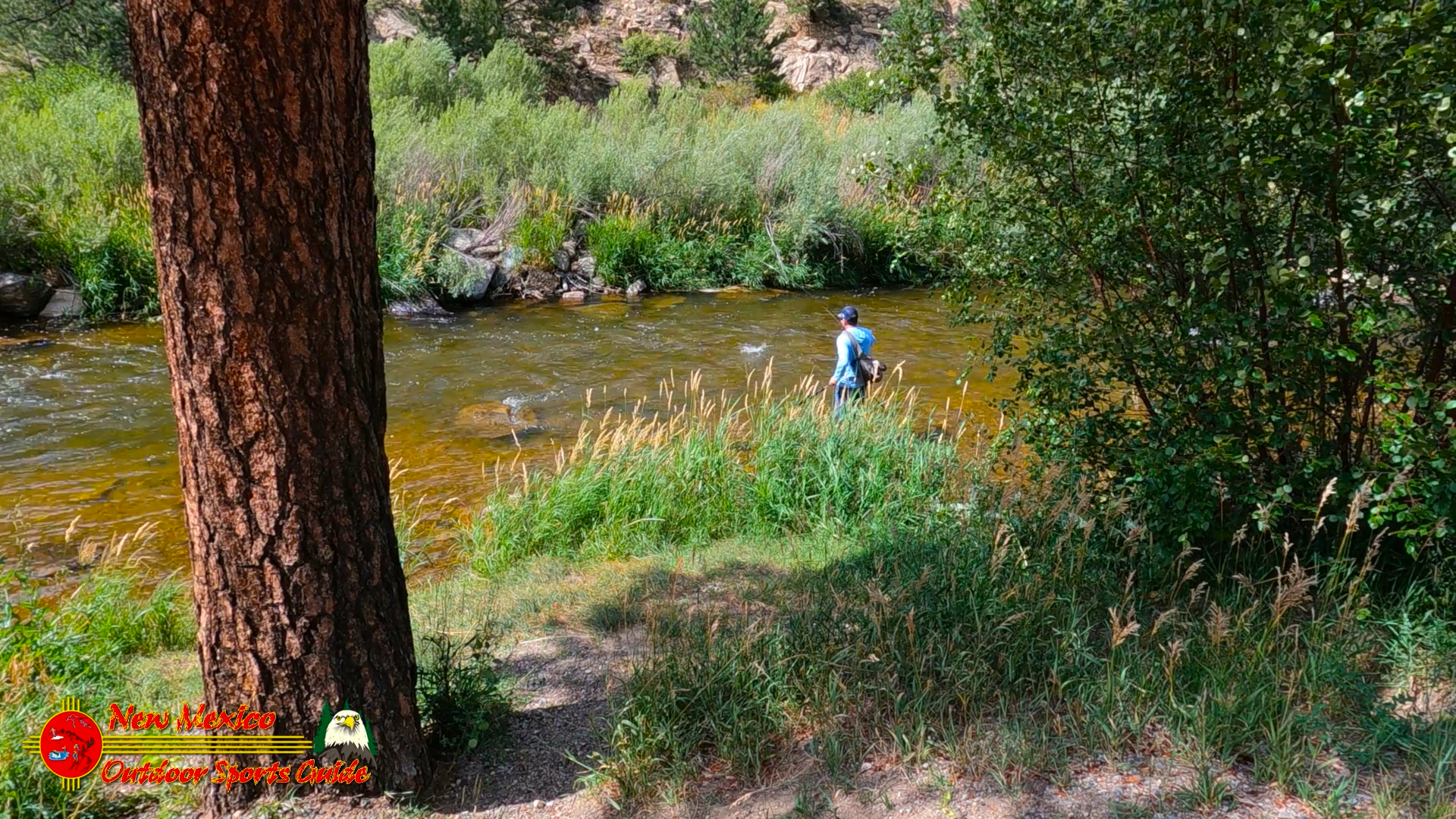 Big Thompson River Fly Fishing Hero 9