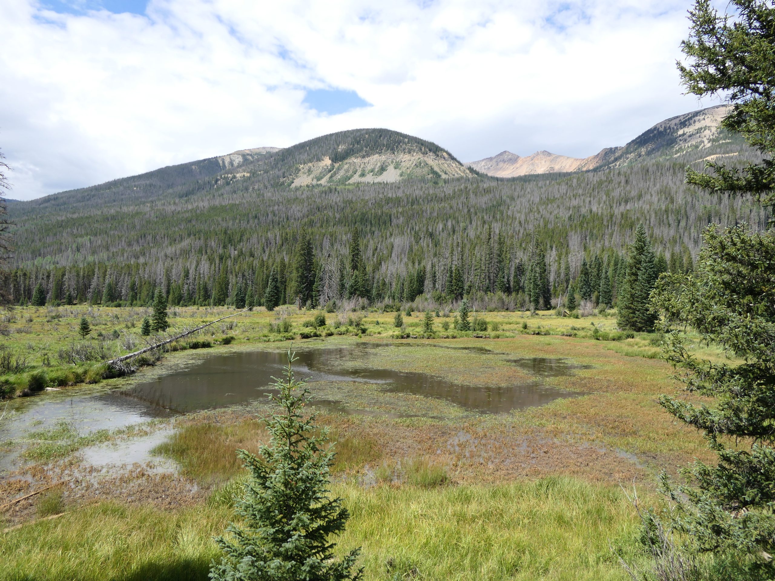 Rocky Mountain National Park