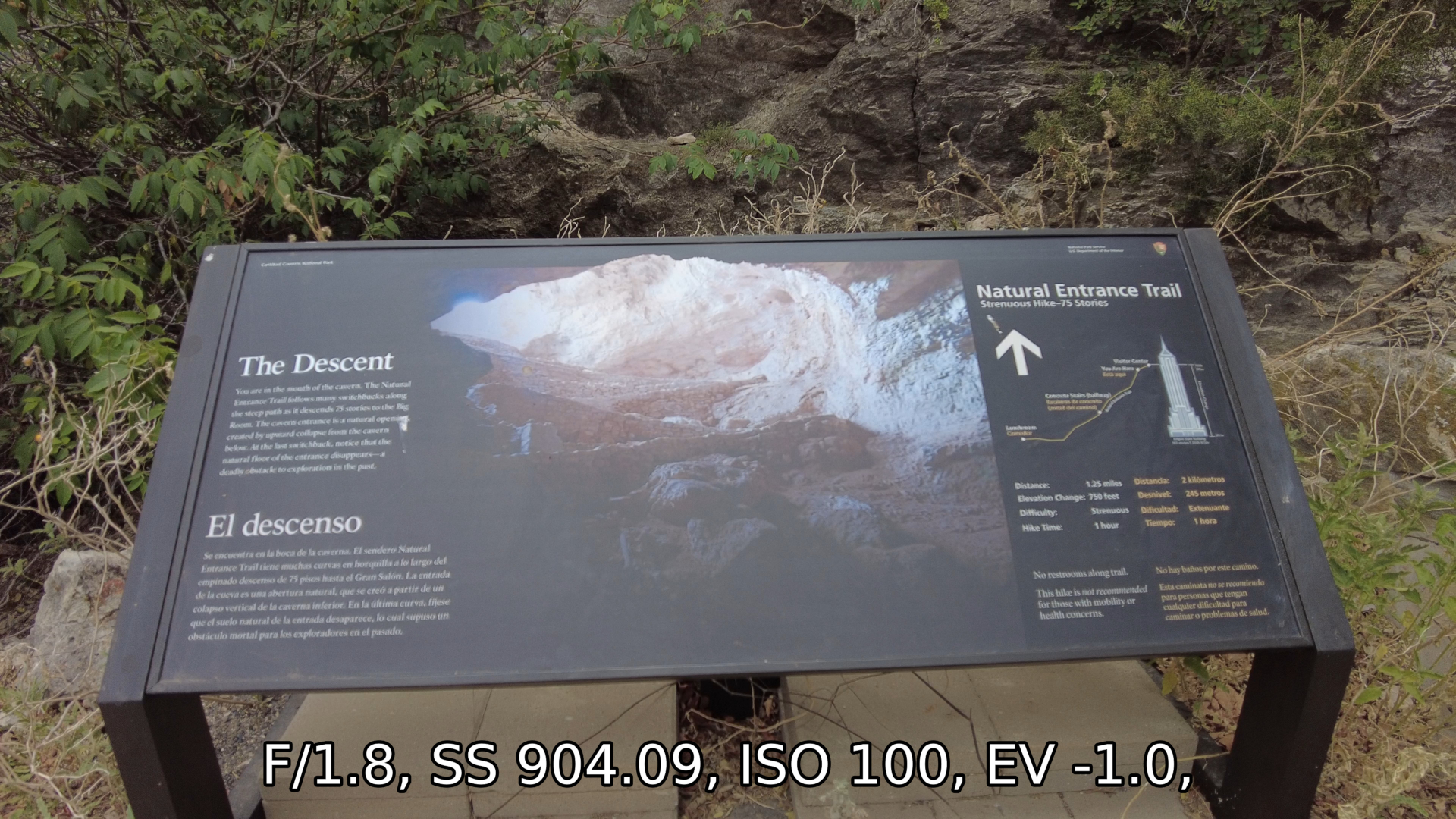 Carlsbad Caverns 06-02-2022 Pocket 2