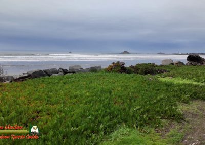 Hwy 1, Pacific Coast, Insta360 Ace Pro Crescent Beach Motel