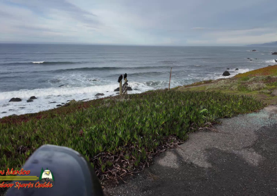 Hwy 1 Bodega Bay to Crescent City