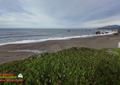 Hwy 1 Bodega Bay to Crescent City