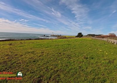 Highway 1: Santa Cruz to Pigeon Point Light Station State Historic Park