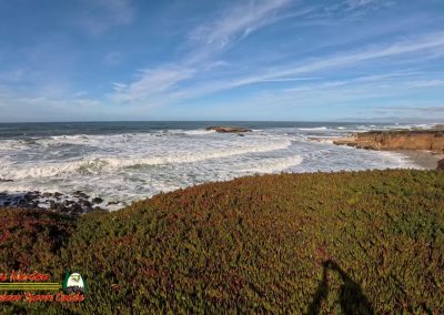 Highway 1: Santa Cruz to Pigeon Point Light Station State Historic Park
