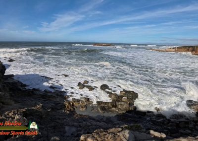 Highway 1: Santa Cruz to Pigeon Point Light Station State Historic Park