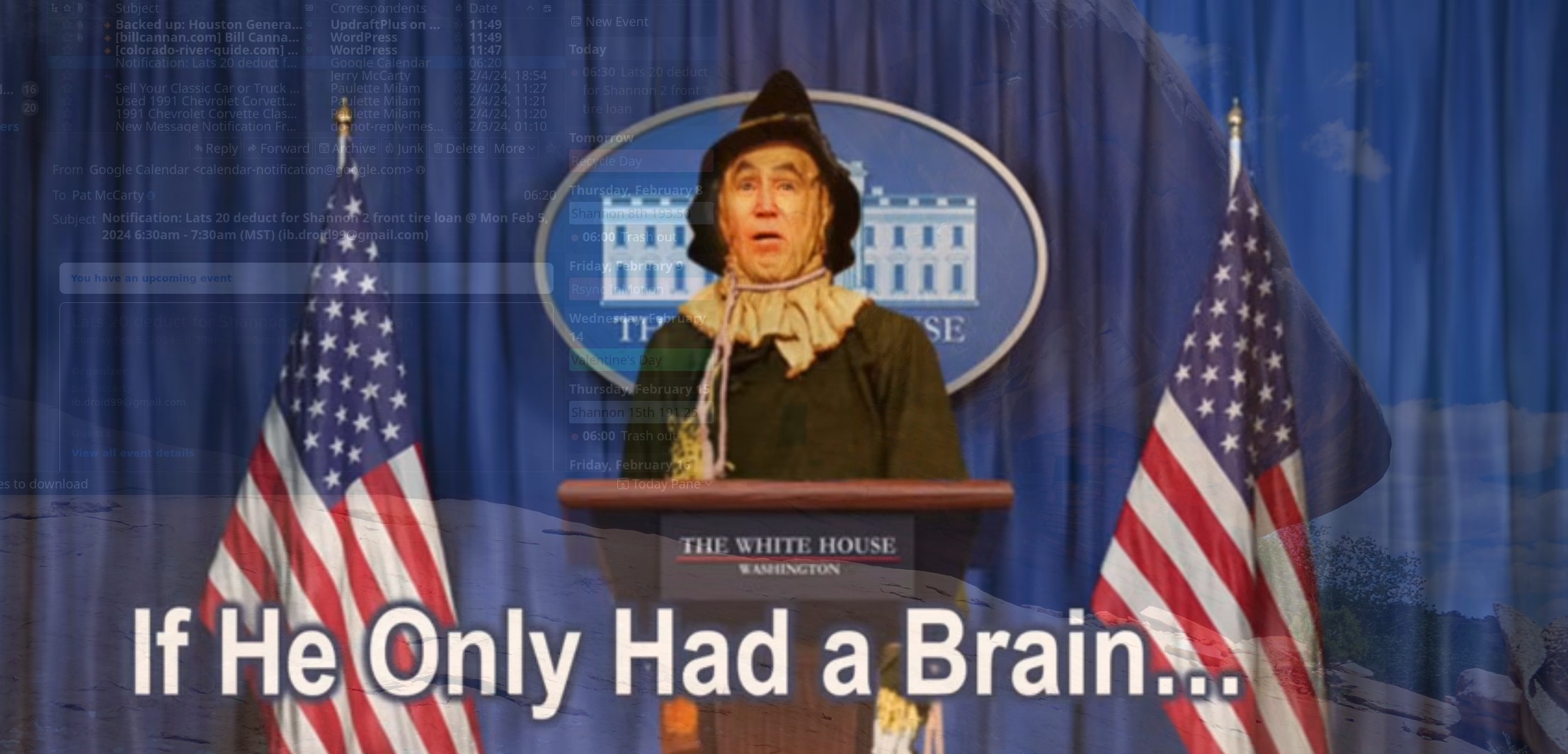 If I Only Had A Brain