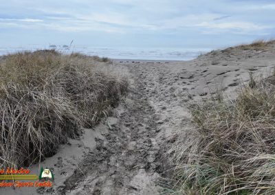 Bandon OR 01-20-2024 Insta360 Ace Pro