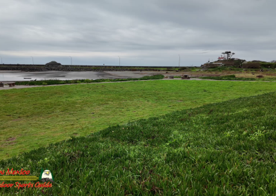 Hwy 1 Crescent City Battery Point Lighthouse Pocket3
