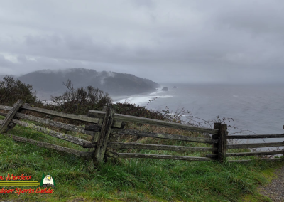 Hwy 1 Crescent City Pocket3