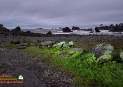 Hwy 1 Crescent City Pocket3