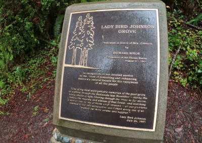 Redwoods National Park Ladybird Johnson Grove