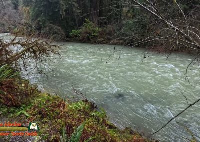 Redwoods National Park Grove of the Titans