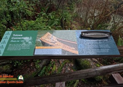 Redwoods National Park Grove of the Titans