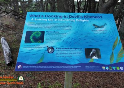 Bandon Sea Stacks and Beach Caves Pocket 3