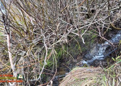 Bandon Sea Stacks and Beach Caves Pocket 3