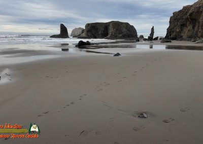 Bandon Sea Stacks and Beach Caves Pocket 3