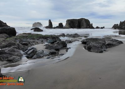 Bandon Sea Stacks and Beach Caves Pocket 3