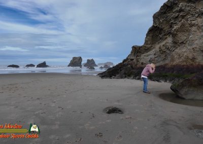 Bandon Sea Stacks and Beach Caves Paulette Pocket 3