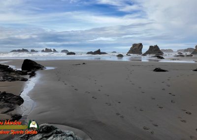 Bandon Sea Stacks and Beach Caves Pocket 3