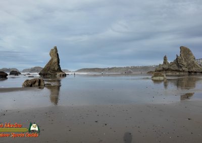 Bandon Sea Stacks and Beach Caves Pocket 3