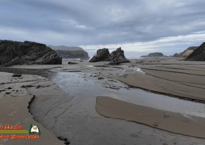 Bandon, Oregon Beaches and Sea Stacks 01-19-2024 Pocket 3