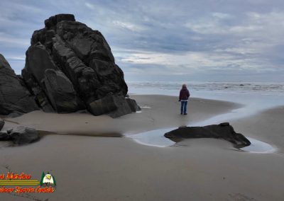 Bandon, Oregon Beaches and Sea Stacks 01-19-2024 Pocket 3
