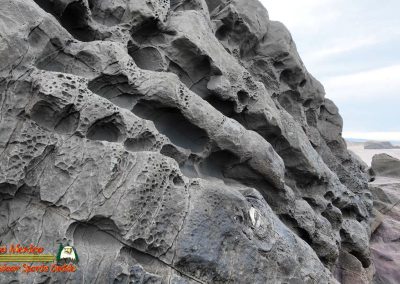 Bandon, Oregon Beaches and Sea Stacks 01-19-2024 Pocket 3