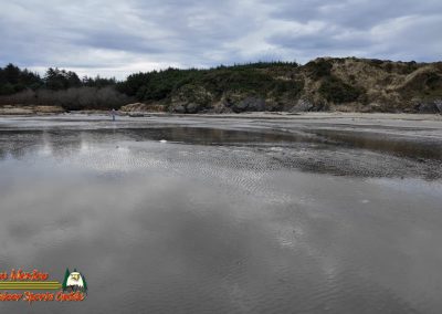 Bandon, Oregon Beaches and Sea Stacks 01-19-2024 Pocket 3