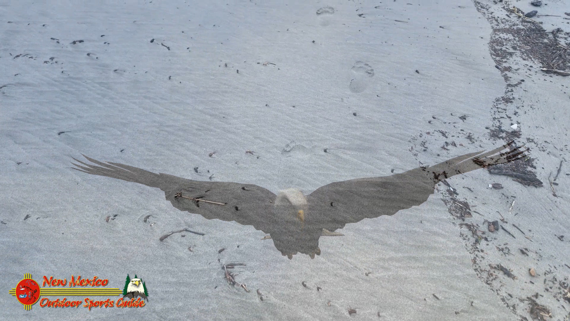 Contemplating Eons on Oregon’s Coastal Canvas