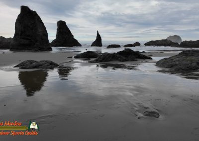 Bandon Oregon Beaches 01-20-2024 Pocket 3
