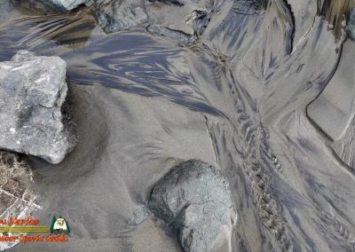 Bandon Oregon Beaches 01-20-2024 Pocket 3