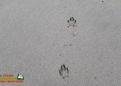 Bandon Oregon Beaches 01-20-2024 Pocket 3