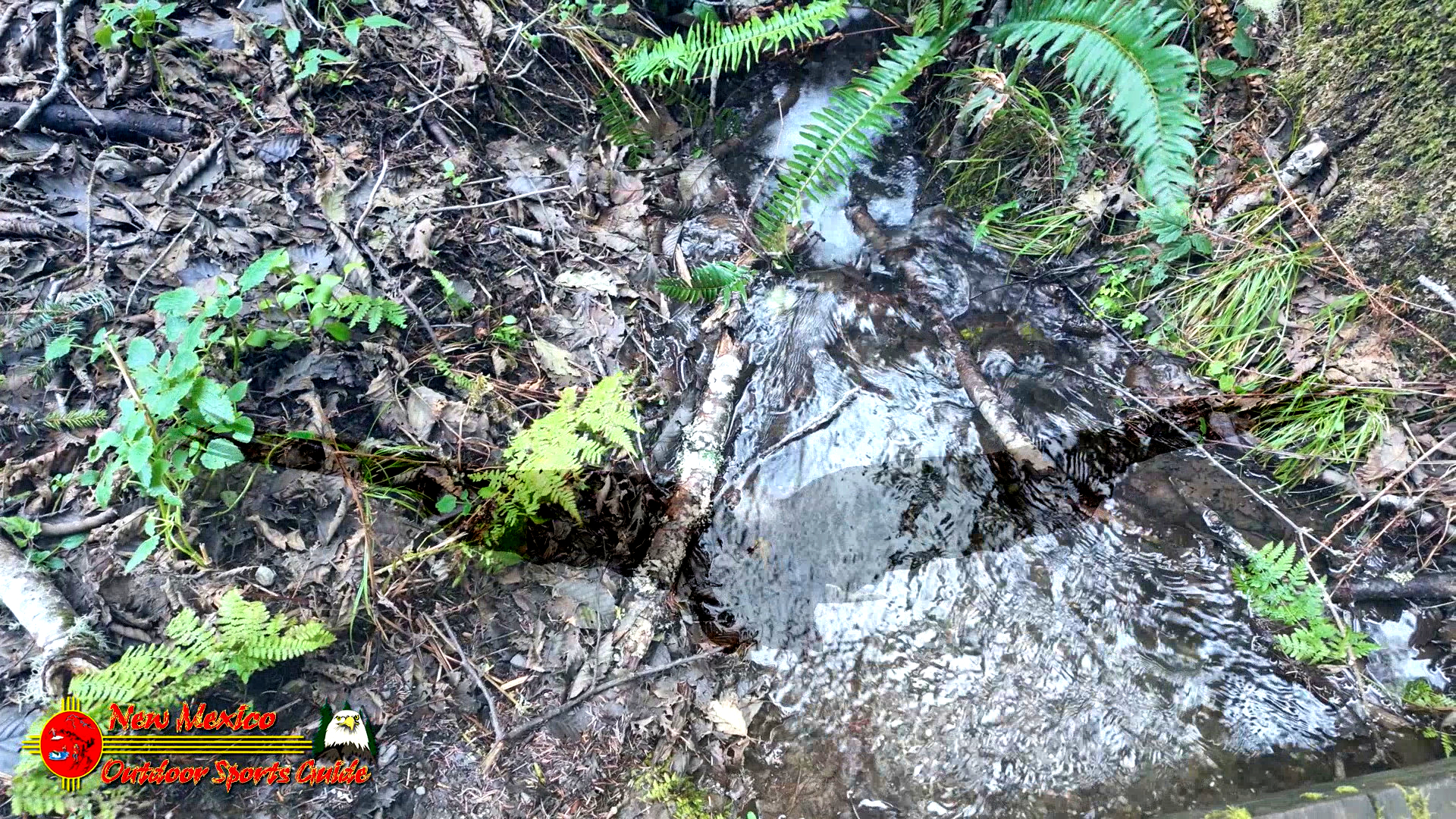 Secret Beach Bandon Oregon Janyary 18, 2024 Pocket 3