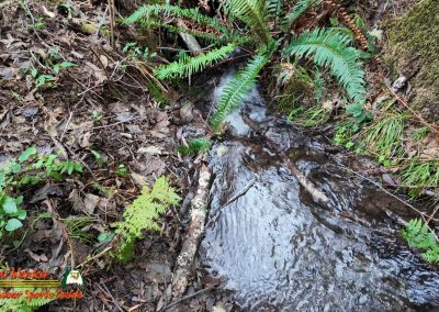Secret Beach Bandon Oregon Janyary 18, 2024 Pocket 3