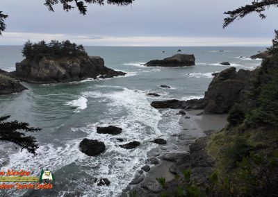 Secret Beach Bandon Oregon Janyary 18, 2024 Pocket 3