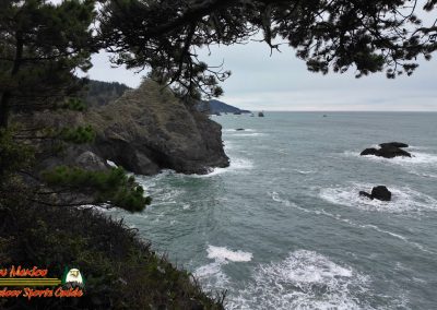 Secret Beach Bandon Oregon Janyary 18, 2024 Pocket 3