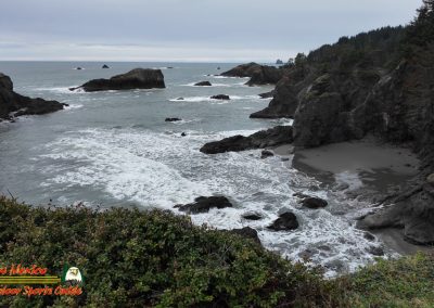 Secret Beach Bandon Oregon Janyary 18, 2024 Pocket 3