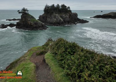 Secret Beach Bandon Oregon Janyary 18, 2024 Pocket 3