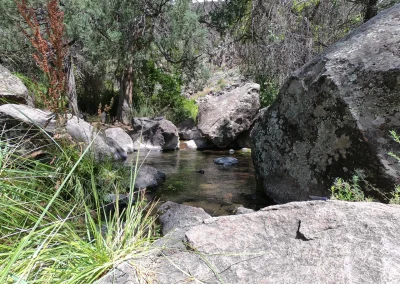 Big Arsenic Trail Wild Rivers July 2003 Spring