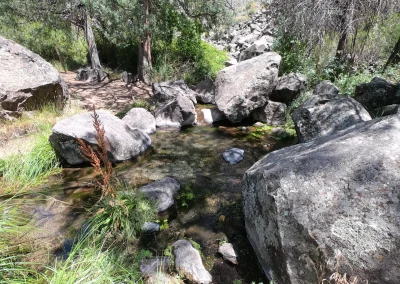 Big Arsenic Trail Wild Rivers July 2003 Spring