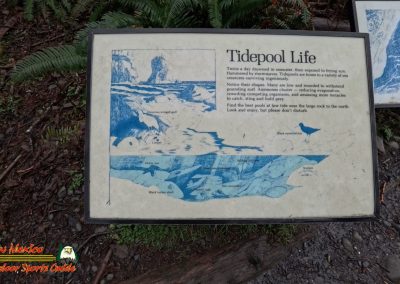 Ruby Beach Washington