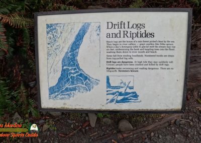 Ruby Beach Washington