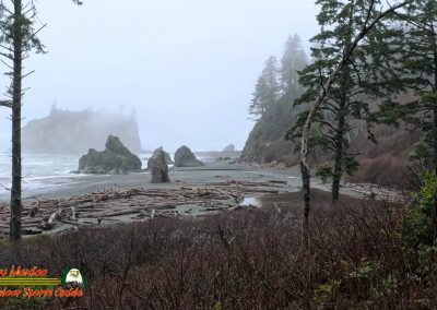 Ruby Beach Washington
