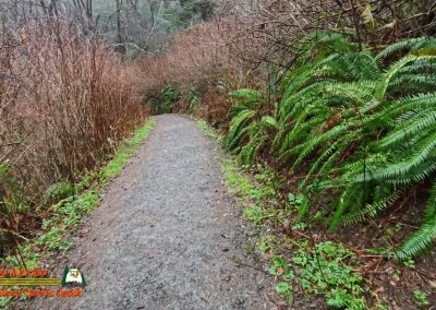 Ruby Beach Washington