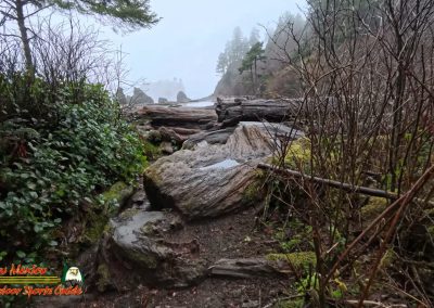 Ruby Beach Washington